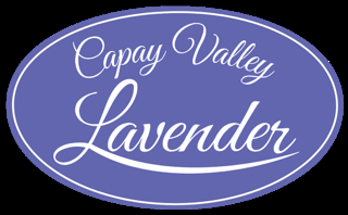 Capay Valley Lavender