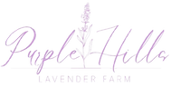 Purple Hills Lavender Farm