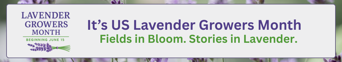 Lavender Growers Month Lavender Growers Month
