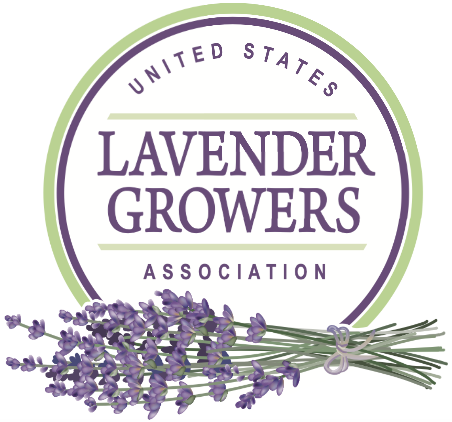 USLGA Logo