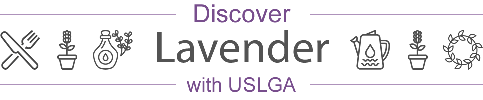 Discover Lavender