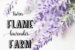 Twin Flame Lavender Farm