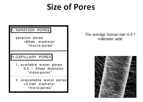 Soil Pore Size