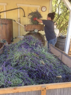 Stuffing the still